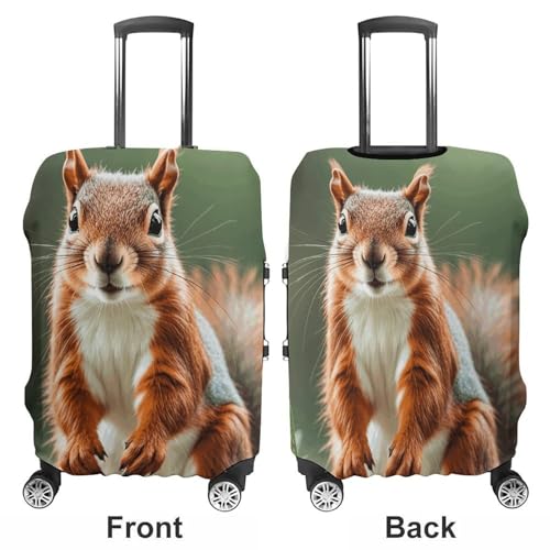 Carry on Luggage Cover Cute Squirrels Suitcase Covers for Luggages Tsa Approved Travel Luggage Sleeve Protector Elastic Suitcase Protector Anti-Scratch Washable Fits 19-30 Inch Case -L3