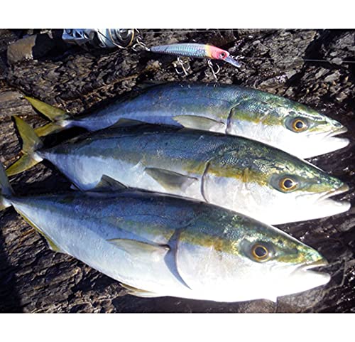 Schilfrohr über 110 mm, 17,5 g – 14