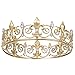 YIZAN KöNigliche KöNigs Krone für Herren - Prinzen Kronen und Tiaras Aus Metall, Voll Runde Geburtstags Feier HüTe, Mittel Alterliche ZubehöR (Gold)
