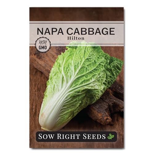 Sow Right Seeds - Hilton Cabbage Seeds for Planting Outdoors - Culinary Asian Variety - Non-GMO...