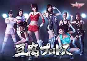 豆腐プロレス　Ｔｈｅ　ＲＥＡＬ　２０１７　ＷＩＰ　ＣＬＩＭＡＸ　ｉｎ　８．２９　後楽園ホール DVD z2zed1b 豆腐プロレス The REAL 2017 WIP CLIMAX in 8．29 後楽園ホール