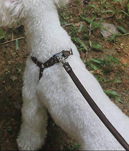 Hundegeschirr Kleine Hunde Leder Verstellbar feiling Hundegeschirr Welpen Brustgeschirr Haustier Ausbruchsicher Katzengeschirr Ledergeschirr Weichem mit 1.3m Hundeleine Leder (Braun)