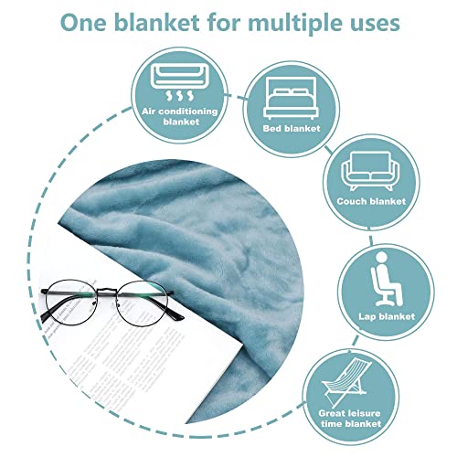 Image of NANPIPER Fleece Blankets Super Soft Flannel Queen Size Blanket for Bed Luxury Cozy Microfiber Plush Fuzzy Blanket,Light Blue
