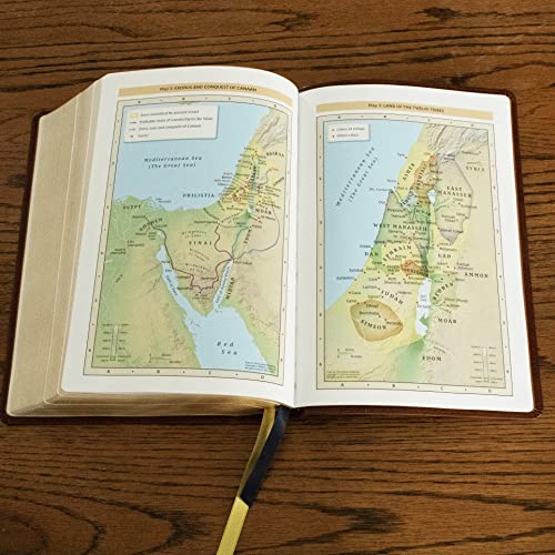 Nkjv, the Bible Study Bible, Hardcover, Comfort Print: A Study Guide for Every Chapter of the Bible