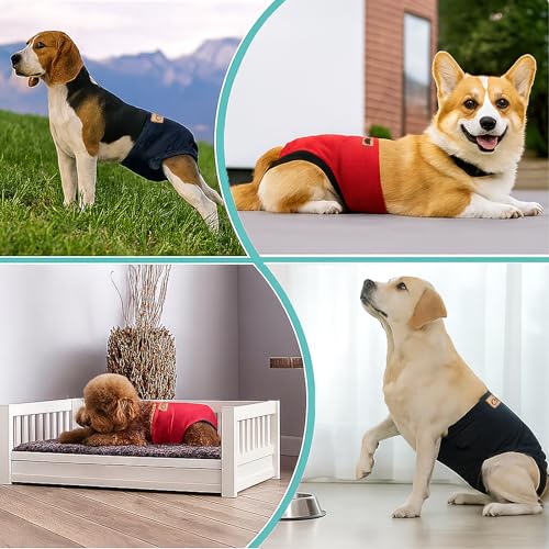 Colenumone 2-Pack Dog Diapers Female |Puppy Essentials Washable & Reusable,Suitable for Period Diapers, Dog Pants to Prevent Licking（Black&red）（XL） by Colenumone - Image 5