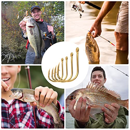 600 Angelhaken Set in 10 Größen (#3 - #12), Angelzubehör Set mit Öse und Kunststoffbox für Angler, Korrosionsbeständiger… – Bild 5