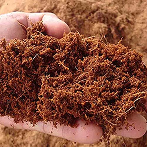 Image of Kraft Seeds by 10CLUB Big Trowel with 5*Cocopeat 100g - Gardener's Essential Kit /Combo for Planting, Transplanting, and Soil Enrichment | Eco-Friendly Garden Tools for Healthy Growth