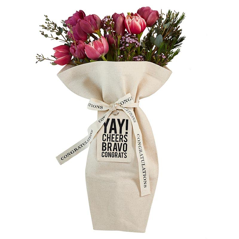 Santa Barbara Design Studio Gift Bag Hold Everything - Waterproof Lined 100% Cotton Canvas Bouquet Bag, 7 x 11-Inch, Congrats