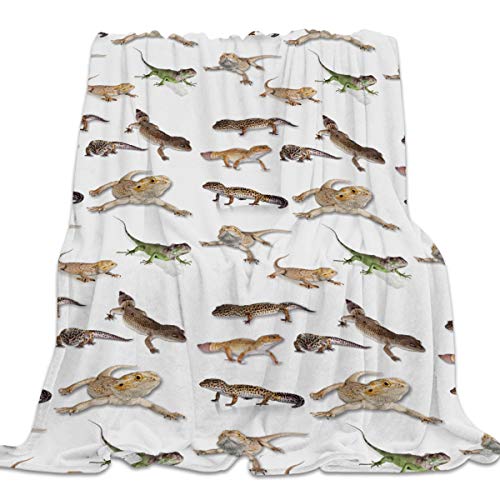 Singingin Ultra Soft Flannel Fleece Bed Blanket Reptile Lizard Throw Blanket All Season Warm Fuzzy Light Weight Cozy Plush Blankets For Living Room/Bedroom 40 X 50 Inches #TOP10