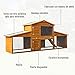Pawhut Conejera de Madera Grande de 2 Niveles con Rampa Puertas con...