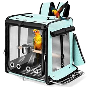 Suertree Bird Carrier with Seat Belt for Car Travel, Bird Backpack Carrier with Indestructible Stainless Steel Mesh, Large Bird Carrier Travel Cage, Green
