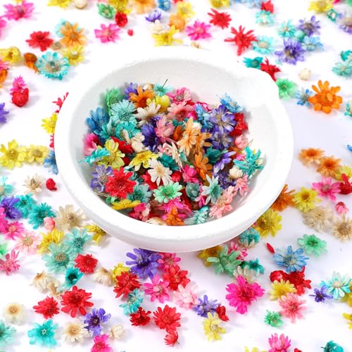 Nogeqi Lot de 420 petites fleurs séchées, fleurs artificielles pour le bricolage, les travaux de résine, la conception des ongles, le scrapbooking -...