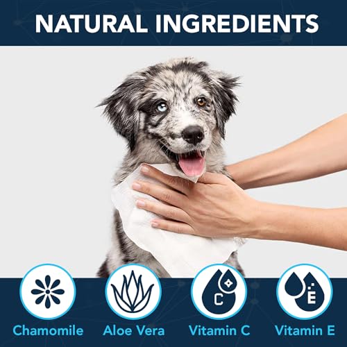 NOVEHA Dog Wipes – Odor Eliminating and Cleaning Grooming Wipes for Dog’s Paws, Body, and Butt – Perfect for Puppy and Adult Dogs – Plant-Based, Safe, Convenient & Large Unscented Wipes (120 Counts) NOVEHA Dog Wipes – Odor Eliminating and Cleaning Grooming Wipes for Dog’s Paws, Body, and Butt – Perfect for Puppy and Adult Dogs – Plant-Based, Safe, Convenient & Large Unscented Wipes (120 Counts)