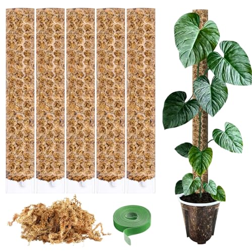 PlantScraper Moosstab für Monstera 5 x 39 cm - Erweiterbare Monstera Rankhilfe & Zubehör-Set - Pflanzstäbe mit Pflanzen-Klettband & Moos - Optimiert für Aroiden - Befestigung für Kletterpflanzen