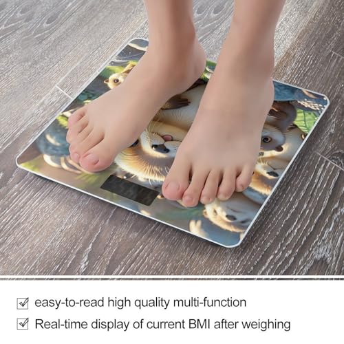 Báscula Digital de Baño FekiLoot con Plataforma de Vidrio miniatura 5