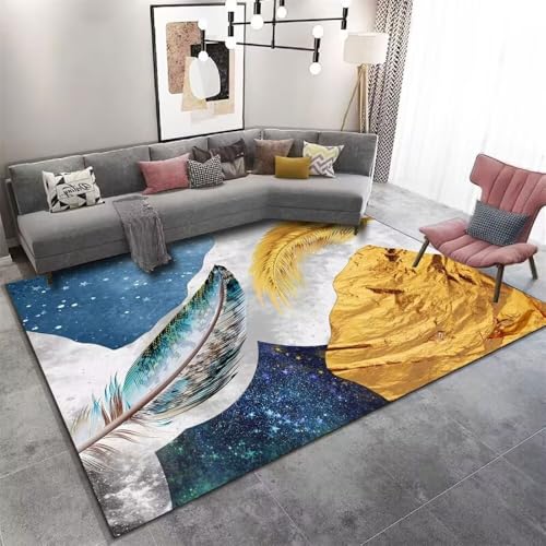 Tapis lavable en machine doux 70x140cm pour salon moderne