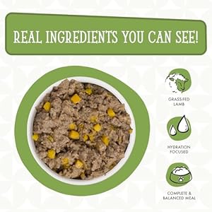 Weruva Canine in The Kitchen, Lamburgini with Lamb & Pumpkin Moist Canine Meals, 10oz Can (Pack of 12)