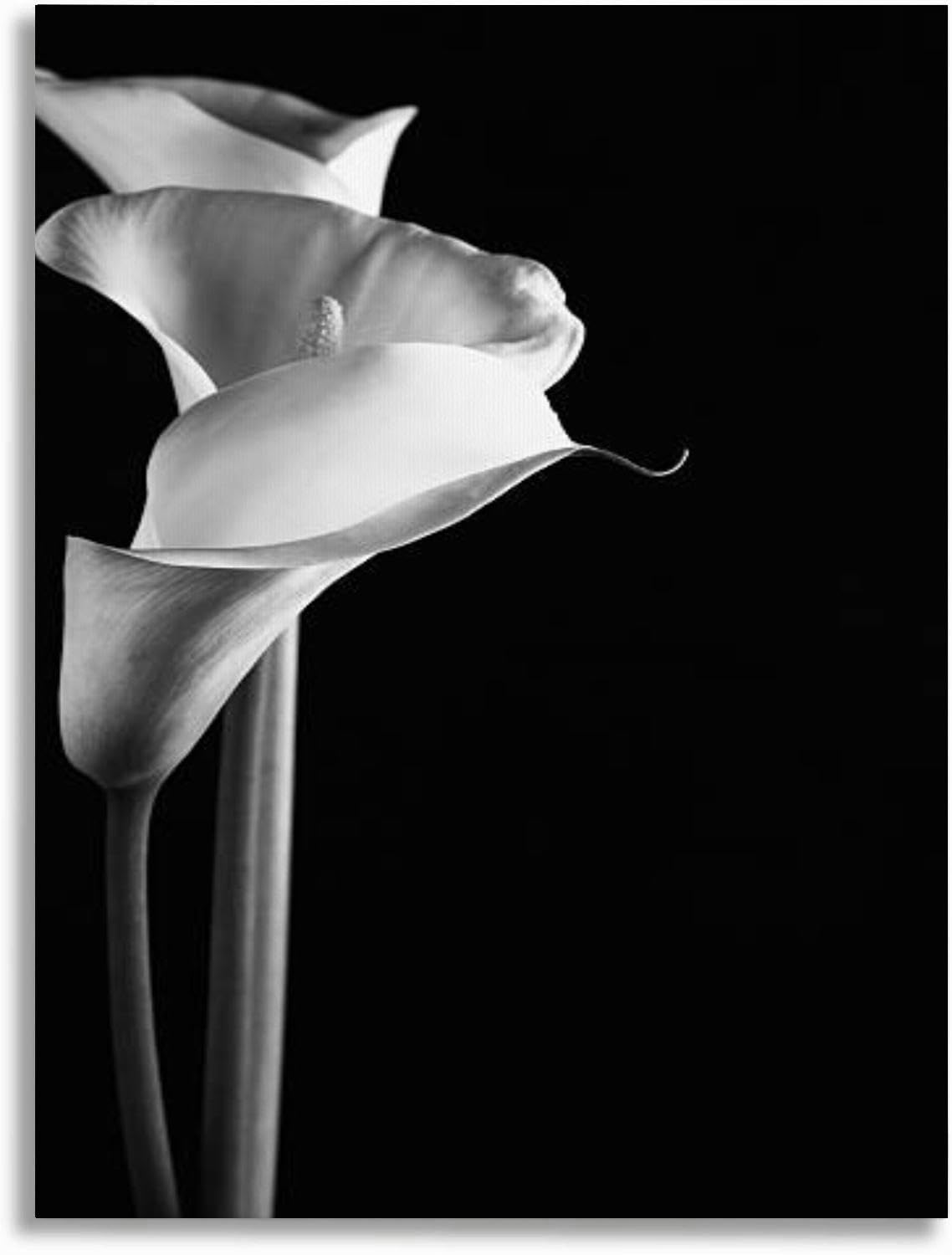 Bathroom Wall Art Calla lilies Pictures Wall Decor Framed Canvas Wall Art for Bedroom Artwork Paintings Living Room Kitchen Farmhouse 16x20