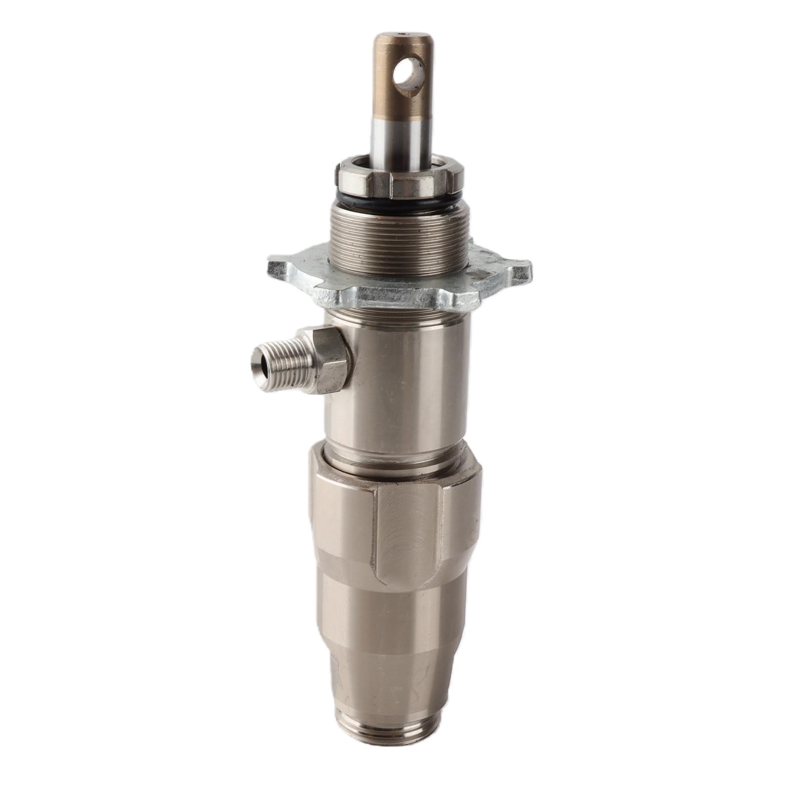 Sprühpumpe aus Edelstahl, Langlebig und Effizient, für Professionelle Sprühmaschine, 20 cm Länge