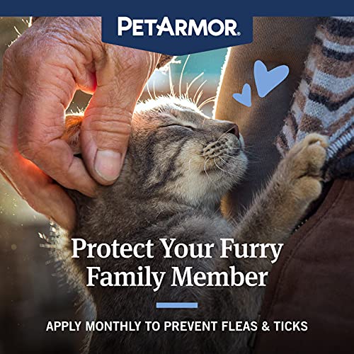 Capstar (Nitenpyram) Fast-Acting Flea Treatment + Petarmor Plus Long-Lasting Flea And Tick Protection Bundle Pack For Cats #TOP1