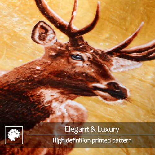 Image of JYK Queen Size Korean Mink Blanket, 5 LB Fleece Bed Blanket - 2 Ply Reversible 520GSM Silky Soft Plush Warm Blanket for Autumn Winter, A&B Pattern Printed, (Queen 75 inchx87 inch, Deer /Elephant)