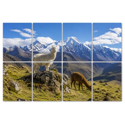8 Pack Paneles Acústicos Artísticos para Absorción de Sonido Paneles Decorativos Auto Adhesivos para Estudios de Grabación y Hogar 48x32 pulgadas miniatura 1