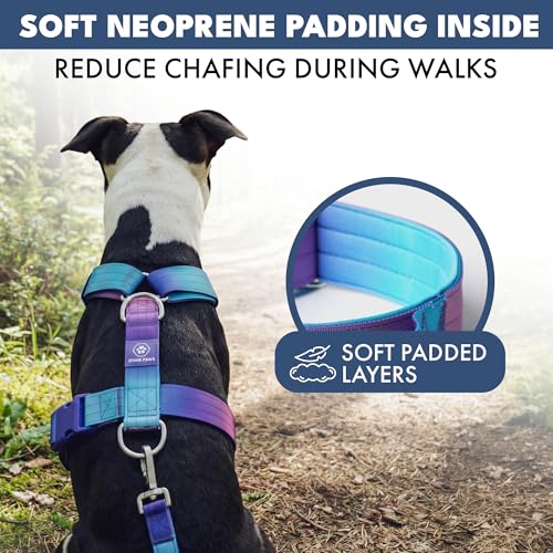 Image of Spark Paws No Pull Dog Harness with Handle for Large Dogs, Heavy Duty Dog Harness for Big Strong Breeds, Adjustable, Y Shaped Padded Halter Design with Front Clip - 90s Retro - M