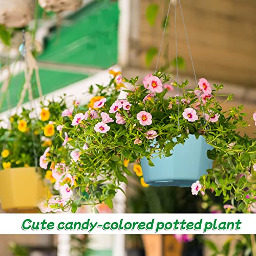 Nuanchu 30 Pack Hanging Planters, Plastic Self Watering Hanging Planters, Garden Flower Plant Pot Container, Hanging Basket Planter With Drainer And Chain For Indoor Outdoor Use, 6 Colors #TOP2