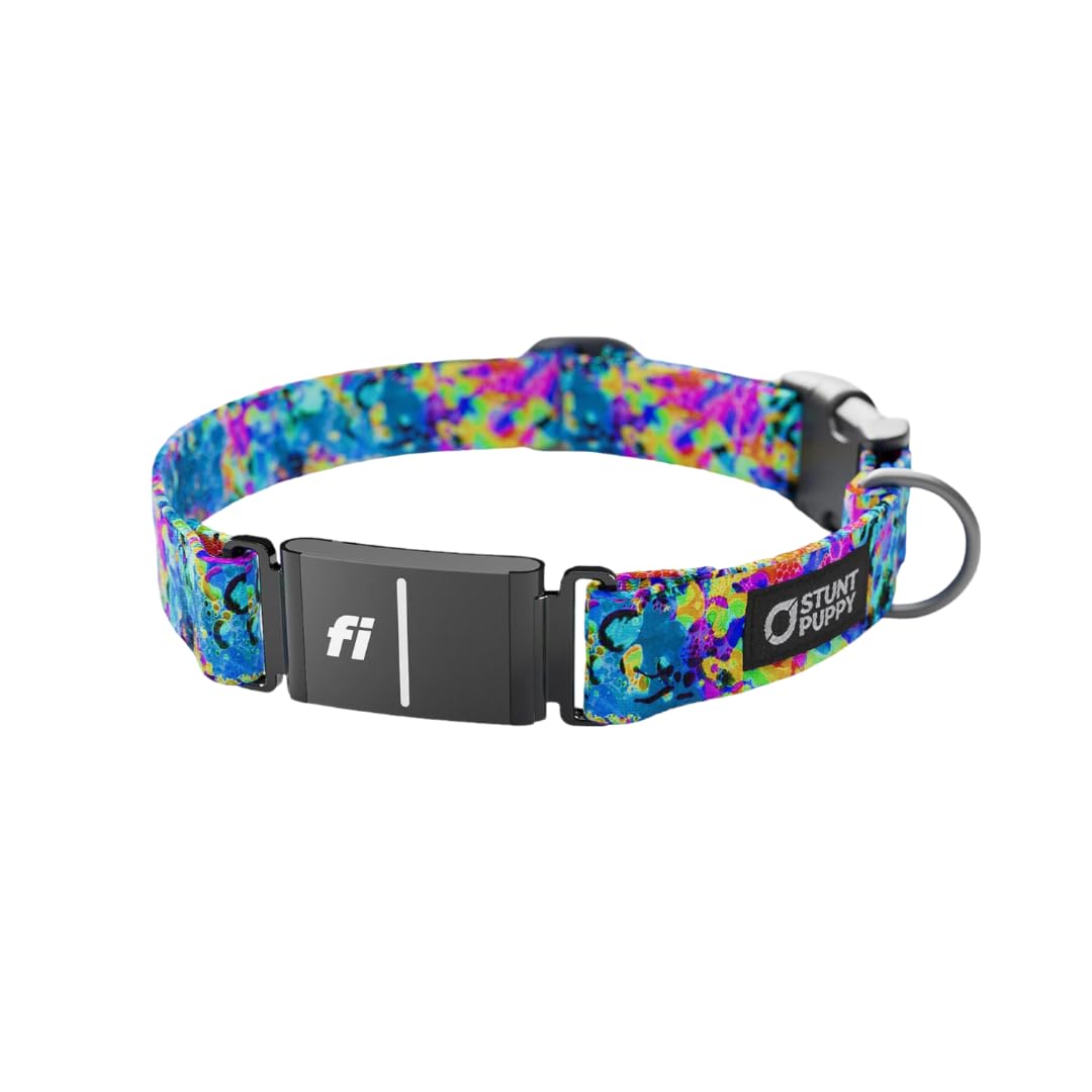 Stunt Puppy Dog Collar, Fi Series 3 and 3+ Ready, Jammin Sea Visions, Medium - Compatible with Fi GPS Device (Not Included)