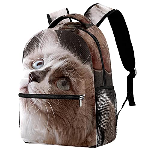 Sac à dos de voyage chat pour soulager le dos des enfants