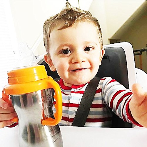 Thinkbaby Stainless Steel Sippy Cup, Light Green (9 ounce)
