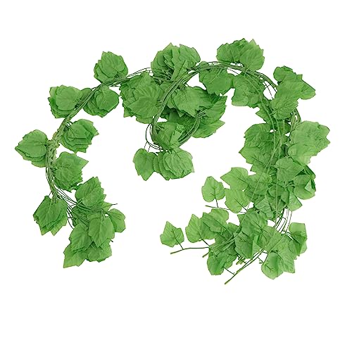 Hojas De Parra Lidl ️ 2024