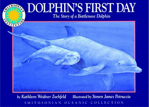 Dolphin's First Day: The Story of a Bottlenose Dolphin - a Smithsonian Oceanic Collection Book (Mini book)