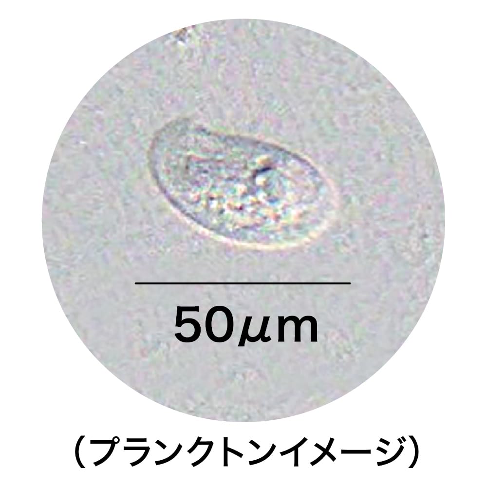 GEX メダカ元気 生きたプランクトンフード 針子がいつでも生きた餌を食べられる 飼育容器に入れるだけ メダカの主食 1個入り - 3