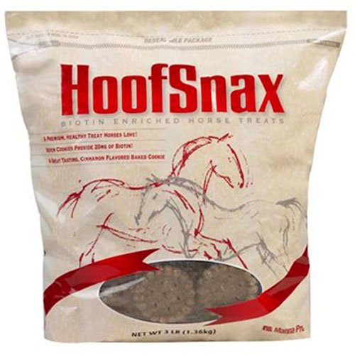 Best Hoof Supplement for Horses 2024 Horse Fund