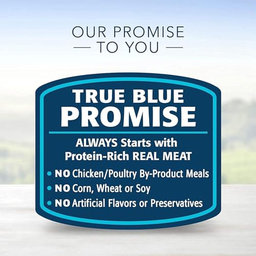 Blue Buffalo Delights Natural Wet Dog Food Filet Mignon in Gravy/NY Strip in Gravy 3.5 oz. Cup (Case of 12) image 2