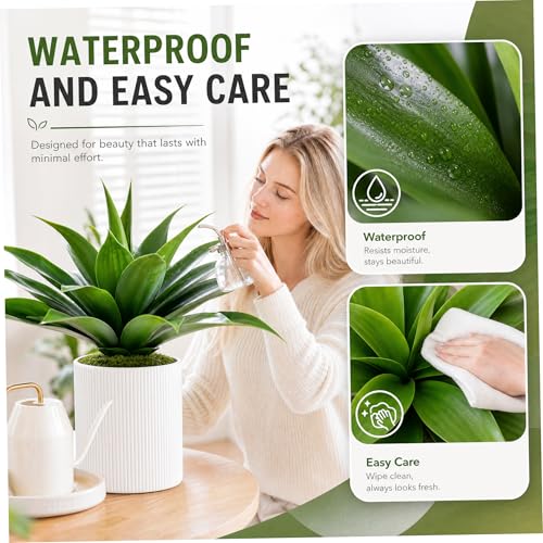 Plante d'agave artificielle : la solution sans entretien pour balcons ombragés