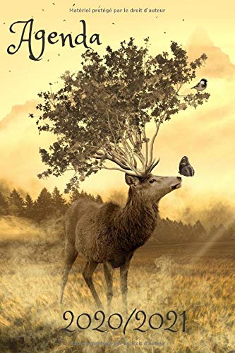 Télécharger AGENDA SCOLAIRE 2020 2021: Un Agenda Scolaire 2020 2021 | Agenda journalier | Emploi du temps | Cale PDF Ebook En Ligne