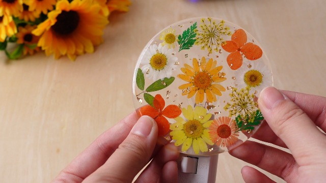 Image of Glooglitter Pressed Flower Night Light Plug in-Handmade Dried Floral Wall Night Light, Soft Glow Decorative Nightlight for Hallway Bedroom Nursery Bathroom, Vintage Botanical(Orange,Flower)