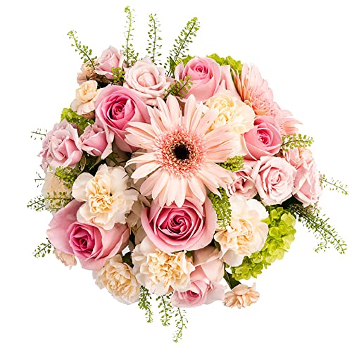 Delivery By Thursday,March 9Th,Arabella Bouquets Fresh Cut Sweet Angel Flowers With Vase, Pink #TOP1