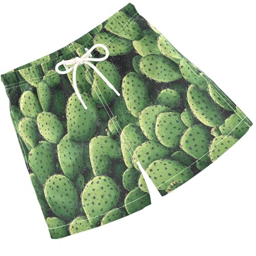 Pigsaly Boys Swim Trunks Cactus Succulents Mexican Plant Boys Board Shorts Swimsuit Swimwear Summer Bathing Suit 3T