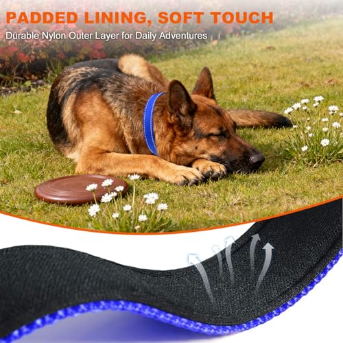 Image of Taglory Reflective Extra Large Dog Collar, Comfortable for Safe Night Walks