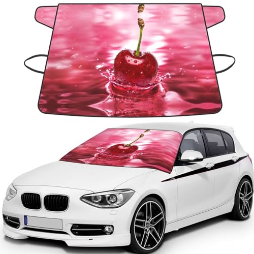 Housse de pare-brise de voiture cerises protection hivernale pour auto