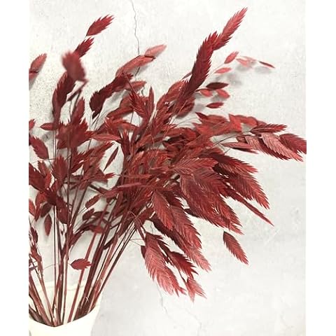 DongArts Preserved Wild Oats Flower Bouquet, 18 inch Natural Chasmanthium latifolium Grass Ornamental Green Leaves for Home Wedding Party Décor (Red) Cover