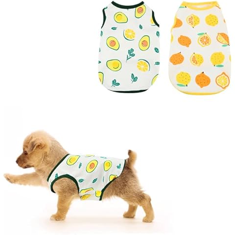 2 Pcs Cute Summer Dog Shirts by Jodsen Cover