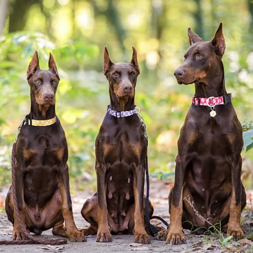BiPawTi Süßes Hundehalsband Mittelgroße Hunde - Weiches, Verstellbares Halsband mit Margeritenanhänger & Hübsches Blumen Margeritenmuster - Lila Hundehalsband für Mittlere Hunde, M