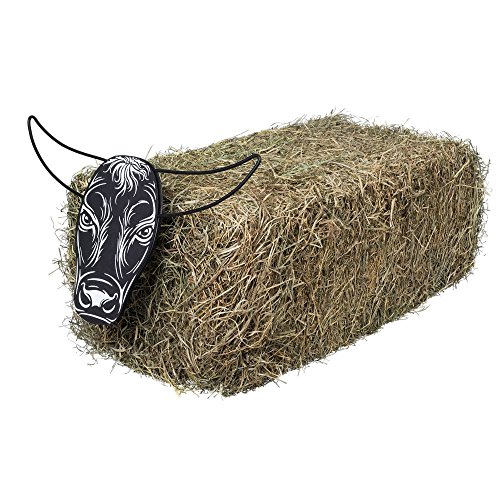 Tough 1 Quick Release Steer Head