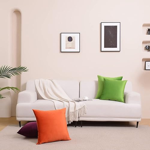 Miniatura 6 de Krifey Juego de 2 fundas de almohada de terciopelo para primavera, decorativas, cuadradas, suaves, para sofá, dormitorio o automóvil, 12 x 20