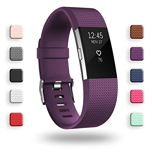 POY Replacement Bands Compatible for Fitbit Charge 2, Classic & Special Edition Sport Wristbands, Small Plum, 1PC