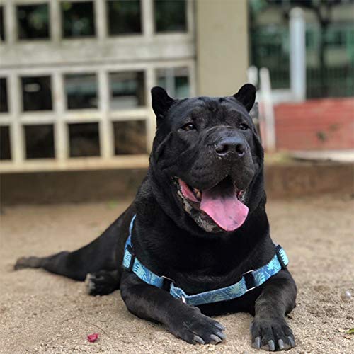 Peitoral Para Cachorros dog27 Tropical Tamanho:G